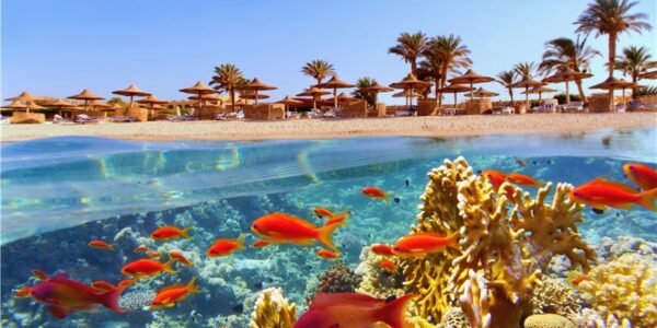 MESSIPAKKUMISED TALVEREISIDELE - Kampaania hind