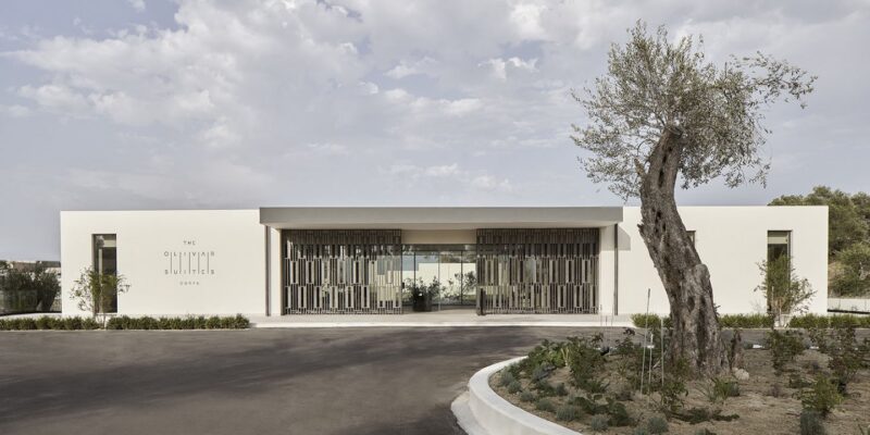 GRCOLISUIT_MESS-TOP-A1