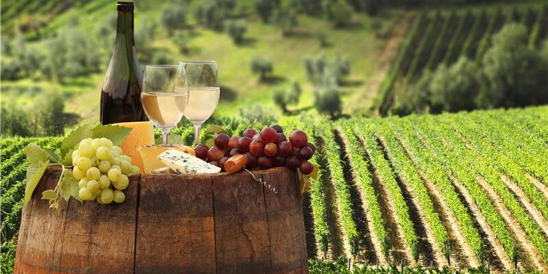 dreamstime_xxl_43260206