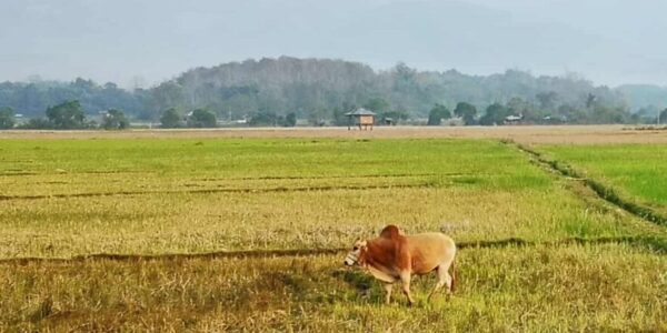 Sisevaade Kagu-Aasiasse